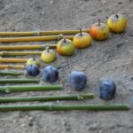 Arpaillargues-fruits-3- En se posant - Land Art - Les Flâneries de Charlotte - Mirelle Delcey